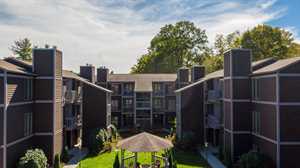 vacation rental condos